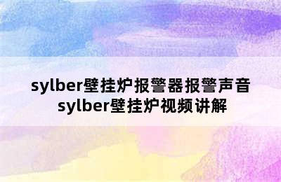 sylber壁挂炉报警器报警声音 sylber壁挂炉视频讲解